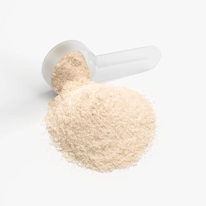 CogniKid (Lemonade)